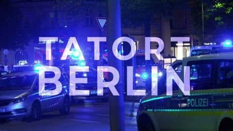 Tatort Berlin: Ramme, Rausch und Randale - SPIEGEL TV unterwegs mit Berliner Polizei