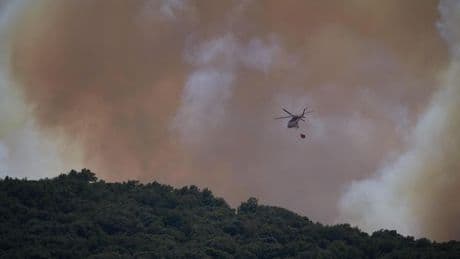 Waldbrand in Spanien: Zahlreiche Urlauber in Andalusien evakuiert