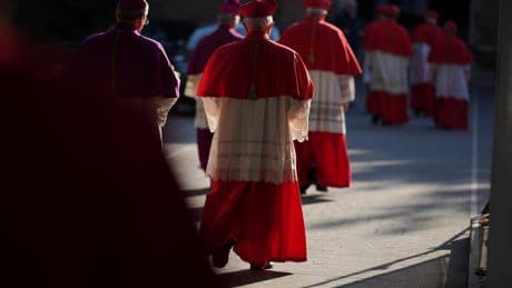Watch live: Cardinals meet at Vatican to discuss Pope Francis funeral plans