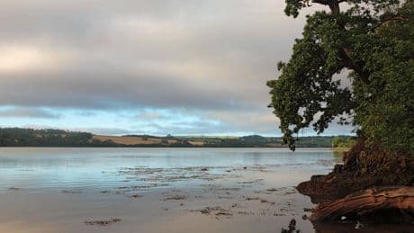 Girl, 11, dies in tragic water incident at Cornwall beauty spot