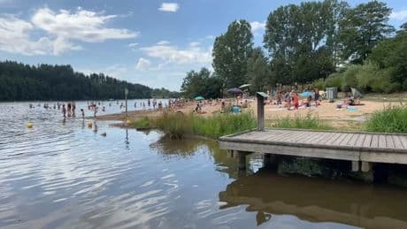 La baignade au Lac des Sapins temporairement suspendue à cause de cyanobactéries
