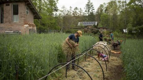 Why knowing your neighbors can be an important climate solution