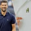 Opvallende stunt: kledingsponsor Lacoste eert Djokovic door logo van krokodil te vervangen door... een geit
