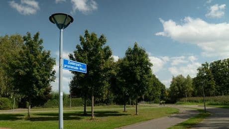 Verdachte (54) opgepakt voor zedenmisdrijf Zuiderpark Rotterdam