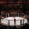 Dvalishvili - O’Malley : sur quelle chaîne et à quelle heure voir le combat MMA en direct ?