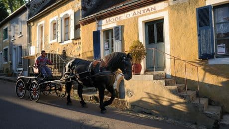 L'idée week-end près de Paris : à la découverte du Perche en attelage