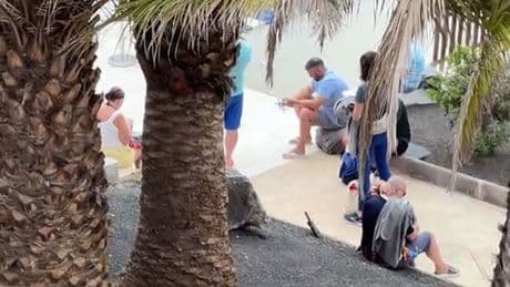 Brits 'worst nightmare' as they queue for over an hour to get sunbed at popular resort