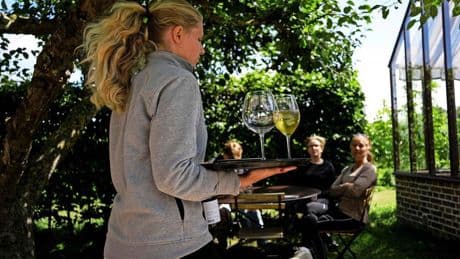 Historische wijziging in alcoholbeleid: Zweedse peperdure staatsdrankwinkels zijn monopolie kwijt