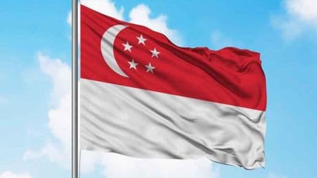 Singapur'da parlamento feshedildi, seçim süreci başladı