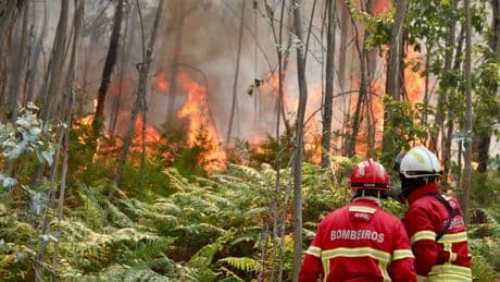 Más de 3.500 bomberos tratan de apagar los incendios en Portugal