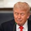 Fehde mächtiger Männer: Trump hat keine Lust auf ein Telefonat mit Musk