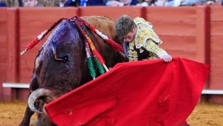 Bilbao presenta una Corridas Generales con figuras pero reducidas en dos festejos: sólo dobla Borja Jiménez