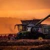 Landwirtschaft: Deutlicher Zuwachs bei Getreideernte erwartet