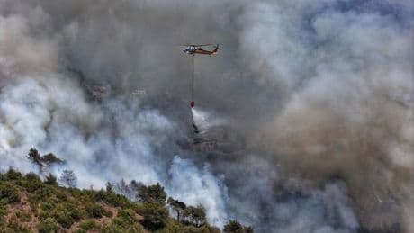 En Syrie, les incendies “dévorent les forêts”, aggravés par les “vestiges de la guerre”
