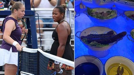 Tennis star at center of US Open racism row sparks fury after mocking Chinese food