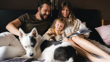 ¿Somos su familia? Lo que entiende un perro por formar parte de un grupo