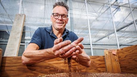 Boeren zijn blij met bijzonder goede oogst: ’Boomgaarden hangen bomvol appels en peren’