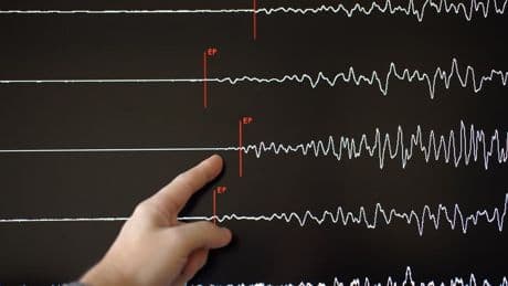Un séisme de magnitude 7,4 détecté au large de l'Argentine et du Chili, une alerte au tsunami enclenchée