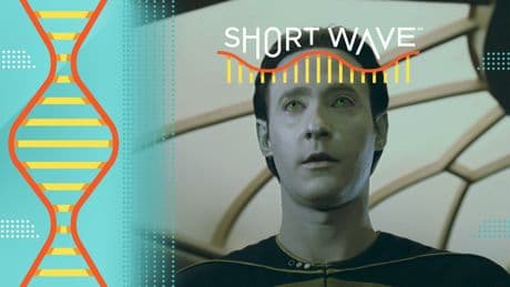 What makes 'life' so hard to define? A developmental biologist weighs in
