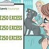 Pet insurer charged £250 excess THREE times after our black labrador's single operation: SALLY SORTS IT