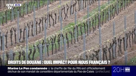 Droits de douane: quel impact en France ?