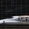 Snake halts Japanese bullet trains after wrapping around power line