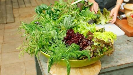 Salatsorten im Check: Diese sind am gesündesten