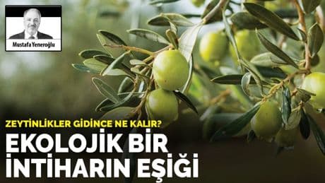 Ekolojik bir intiharın eşiği