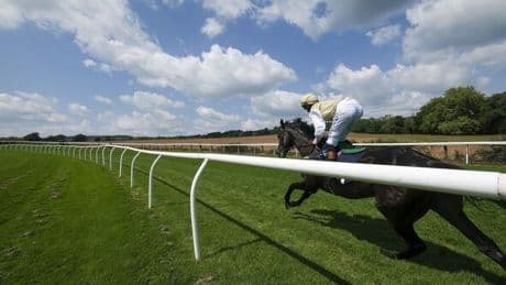 Horse racing chiefs threaten to ban 12 racecourses in strong statement