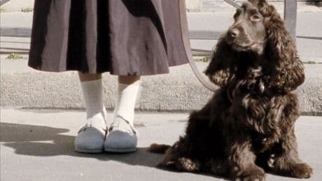 Cómo llevar Birkenstocks cuando lleve el otoño: así es como se pueden combinar con tu armario de otoño
