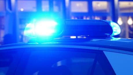 „Nähern Sie sich keinesfalls dem Tier!“ – Polizei sucht Großkatze in Sachsen-Anhalt