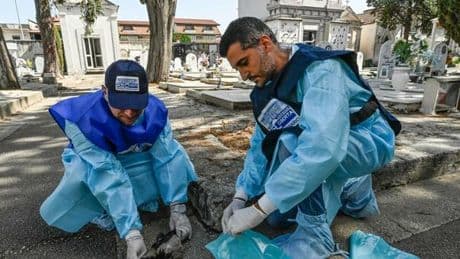 West Nile, quando il picco dei casi? Altri due morti in Campania e nel Lazio record di contagi. «In Italia sono almeno 10mila le infezioni»