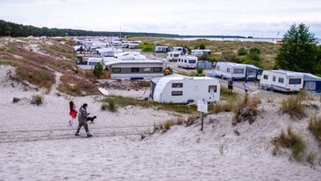 Gericht entscheidet Camping-Streit - Regenbogen AG muss Waldfläche zurückgeben