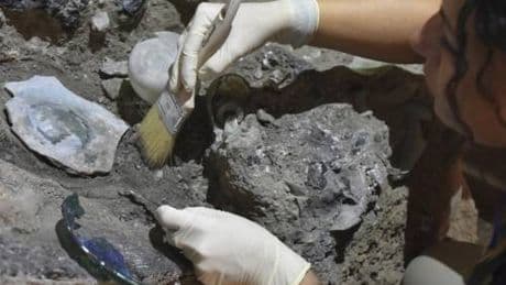 Dopo la forte scossa ai Campi Flegrei cedimento al Parco di Pompei