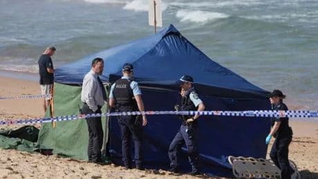 Fatal shark attack on Sydney beach as surfer's limbs ripped off