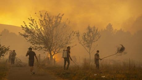 Incendios en España hoy, en directo | 1.300 personas evacuadas en León por el avance de un fuego que presenta indicios de haber sido provocado