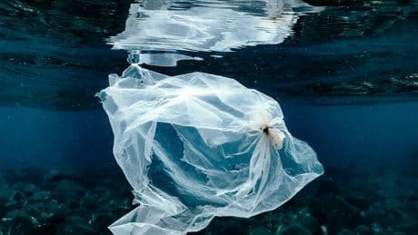 Tenemos un problema con el reciclaje de plástico. Unos científicos japoneses han creado uno que se autodestruye en el mar