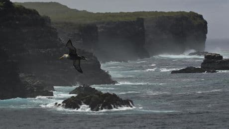 Las Galápagos, el edén que aún se puede visitar... con restricciones