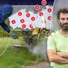 Van gratis tot 225 euro: waarom de prijs voor het verwijderen van een wespennest zo hard kan verschillen