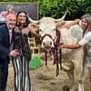 Udderly gorgeous! Cow wins Spanish beauty pageant after impressing judges with its 'comely horns and charming personality'