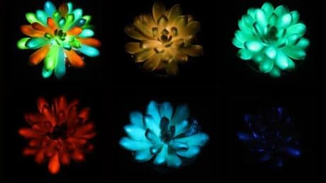 Las plantas de Avatar ya son una realidad: así es el experimento que quiere sustituir farolas por árboles