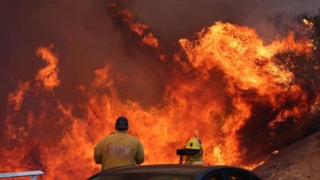 Palisades fire victims seek court order forcing FAIR Plan to turn over claims documents