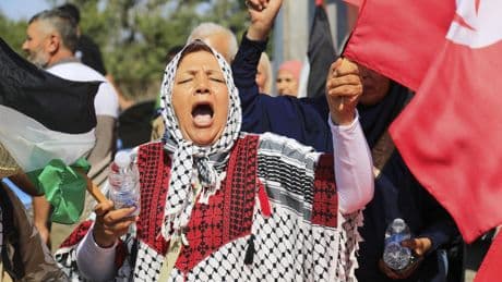 Egypt blocks activists aiming to march to Gaza to draw attention to humanitarian crisis