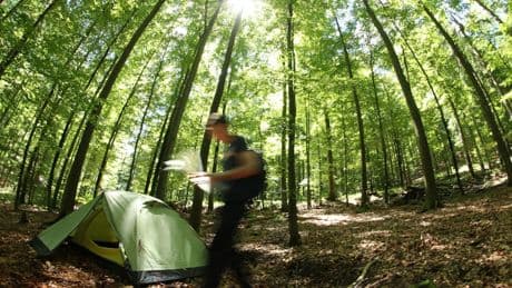 Weitwandern im Schwarzwald: Allein im Wald