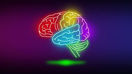 Wissenstest, Teil 2: Wie gut ist Ihr Allgemeinwissen? Dieses Quiz fordert Sie heraus!