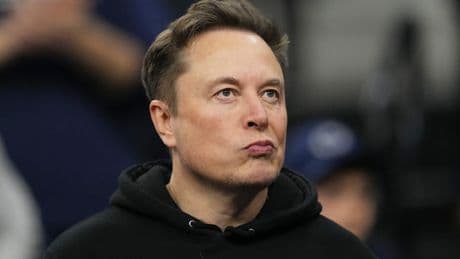 Viel zu hoch - Musk hat Ärger mit Maschendrahtzaun