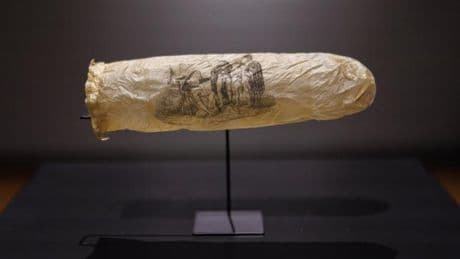Un préservatif du XIXe siècle en boyau d’animal désormais exposé à d’Amsterdam