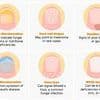 Revealed: What your TOENAILS say about you, according to experts