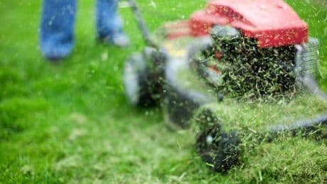 Gardening expert shows exactly how you've been mowing your lawn wrong