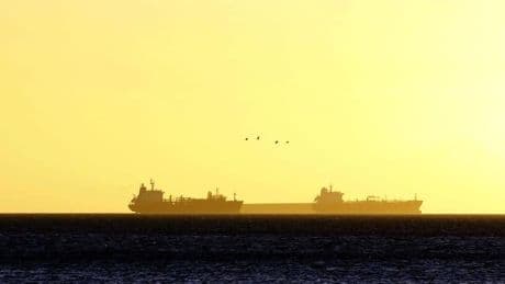 Umwelt und Schifffahrt: Strengerer Meeresschutz löst geteilte Reaktionen aus